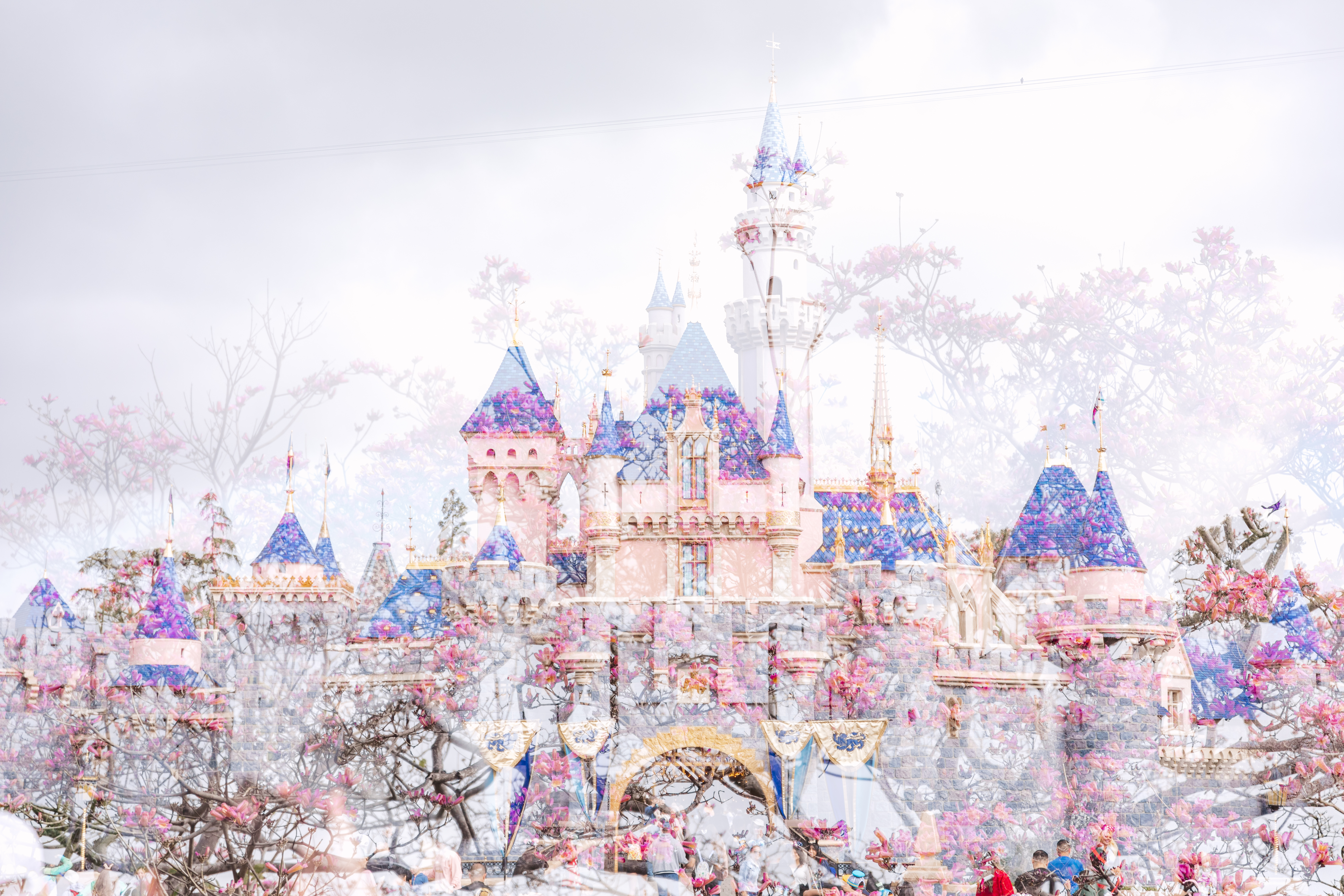 Disneyland Diaries V: Our first Disneyland trip as a family of FIVE!